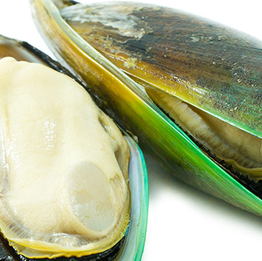 mussels